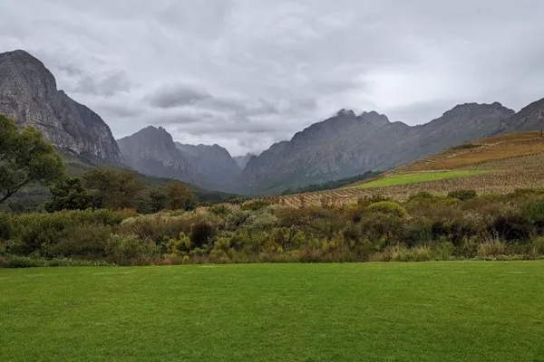 Africa - View from the Winelands